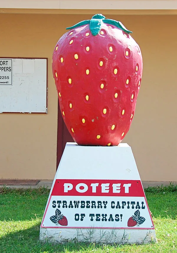 Poteet Texas Strawberry Capital