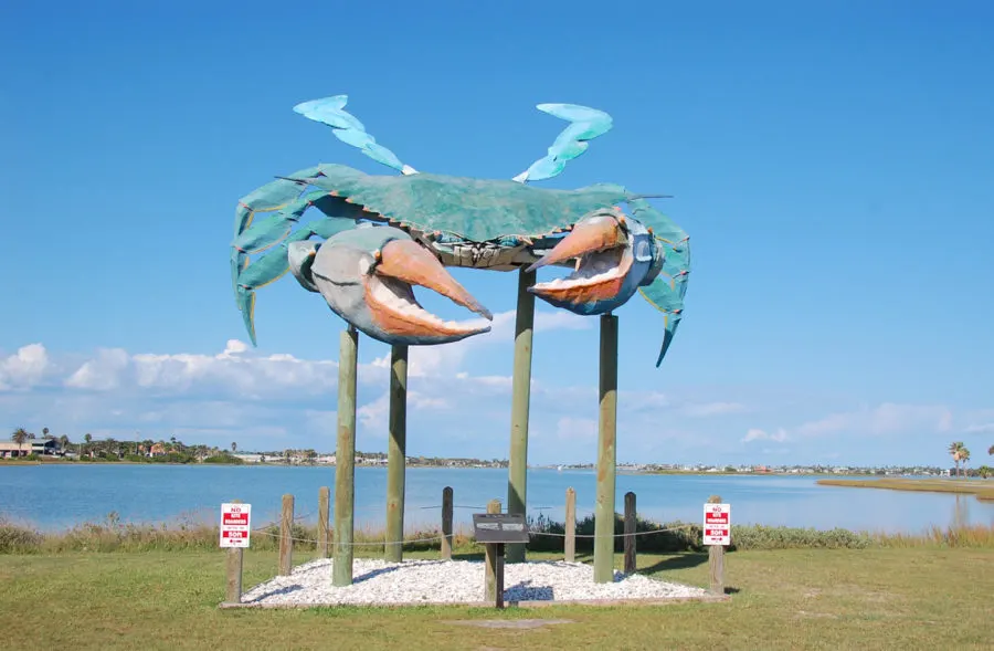 Big Blue Crab Rockport Texas